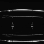 Mastering SEO: Boost Your Sarasota Martial Arts School's Enrollment and Local Presence!