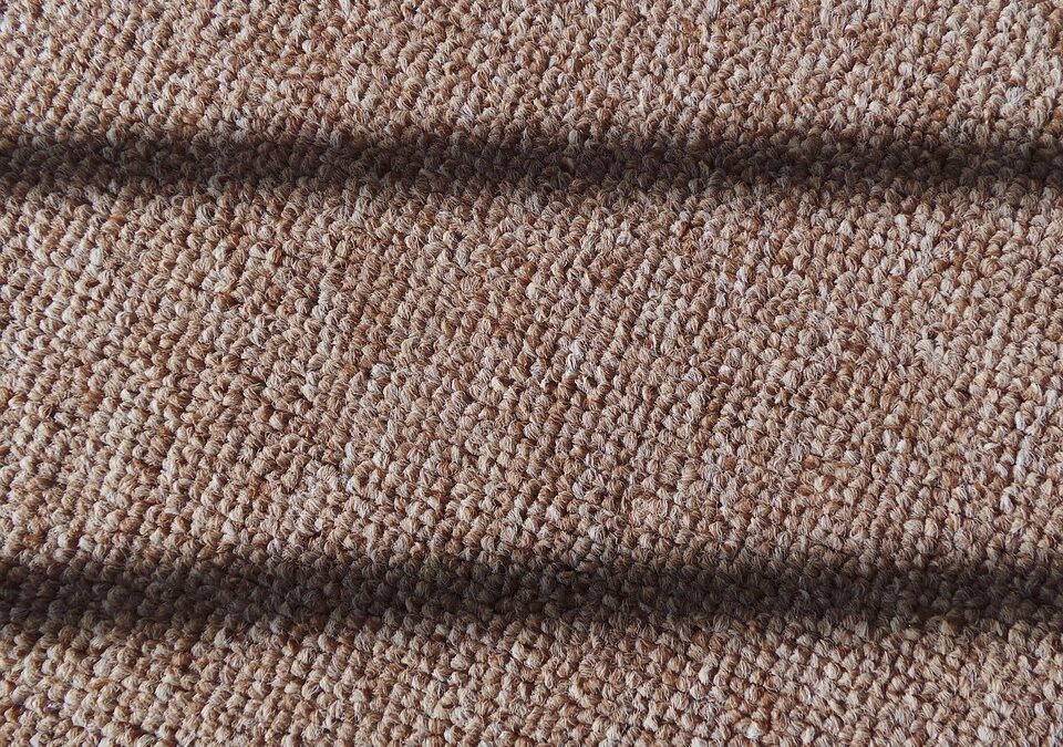 Maximize Your Footprint: How PPC Advertising Can Elevate Your Bradenton Carpet Cleaning Services