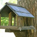 Maximize Your Market Reach: The Ultimate PPC Guide for Bradenton's Mortgage Brokers