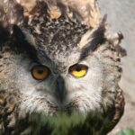 Maximize Your Reach: How Strategic PPC Campaigns Can Elevate Your Sarasota Child Care Business