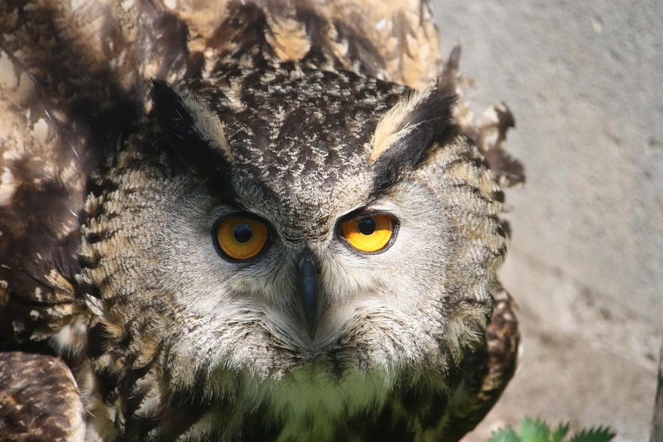 Maximize Your Reach: How Strategic PPC Campaigns Can Elevate Your Sarasota Child Care Business