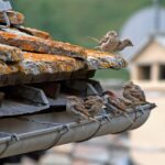 Maximize Your Reach: The PPC Advantage for Bradenton Gutter Cleaning Entrepreneurs