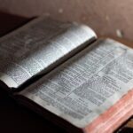 Maximize Your Remodeling Reach: Why Sarasota Contractors Can't Afford to Ignore PPC