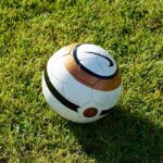 Mow Your Competition Down: Leveraging SEO Strategies for Lawn Care Businesses in Bradenton