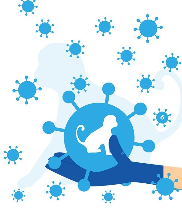 Navigating the Digital Health Landscape: How Sarasota Physicians Can Thrive with SEO