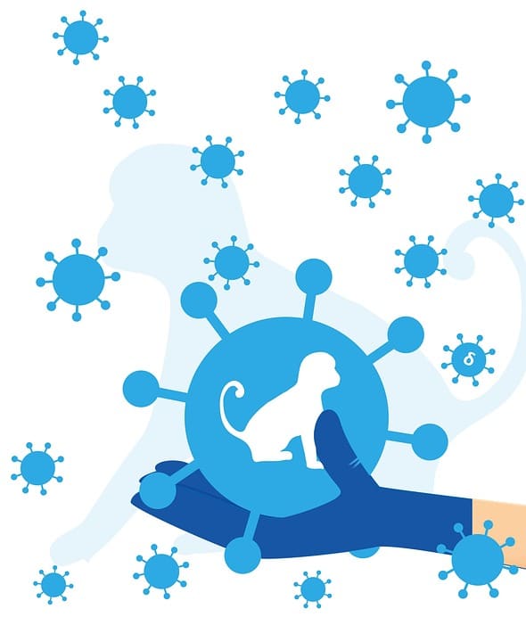 Navigating the Digital Health Landscape: How Sarasota Physicians Can Thrive with SEO