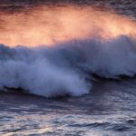 Navigating the Digital Landscape: Top SEO Strategies for Sarasota’s IT Service Providers