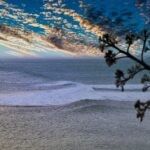 Navigating the Digital Landscape: Why Sarasota's Small IT Businesses Should Invest in PPC Today