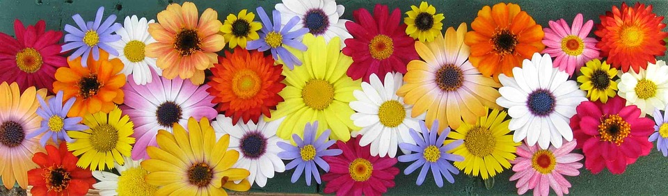 PPC Advertising: The Game-Changing Tool for Sarasota Carpet Cleaners to Attract More Clients and Boost Sales!