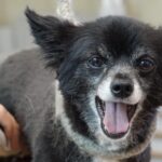 PPC Power: Connecting Your Bradenton Hair Salon to the Local Community in Just a Few Clicks!