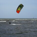 PPC Tail-Waggers: The Secret Marketing Tool Every Bradenton Pet Boarding Service Should Be Using