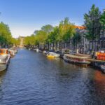 PPC on a Budget: Smart Strategies for Home Inspectors in Bradenton to Maximize ROI