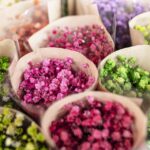 Pack It Up: The Power of PPC to Elevate Your Bradenton Small Business