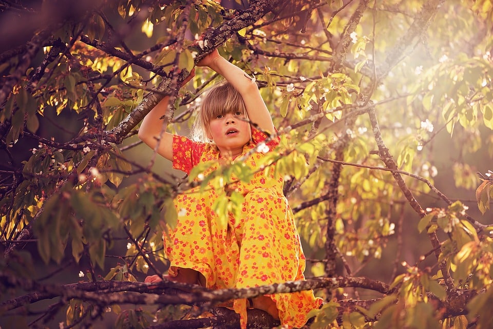 Pack Your Business for Growth: Why Every Sarasota Moving Company Needs a Strong SEO Strategy