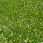 Pampering Profits: How PPC Advertising Can Elevate Your Bradenton Day Spa