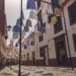 Pane-less Opportunities: Elevate Your Sarasota Window Replacement Company with Local SEO