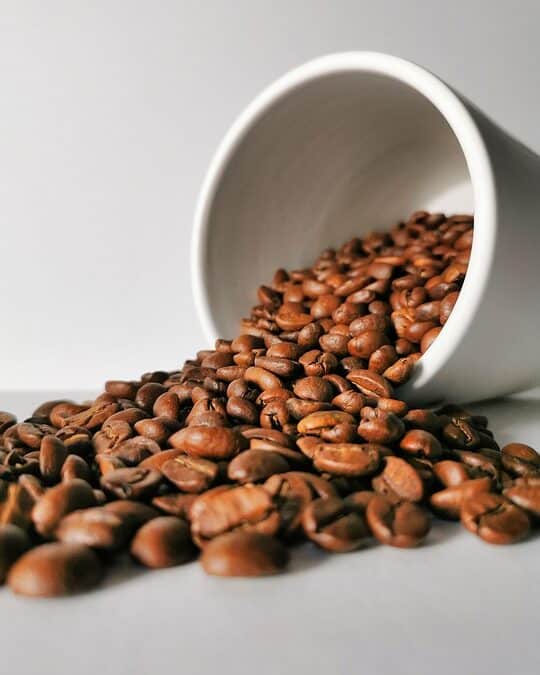 Perk Up Your Profits: The Top 5 PPC Strategies Every Sarasota Coffee Shop Should Try!