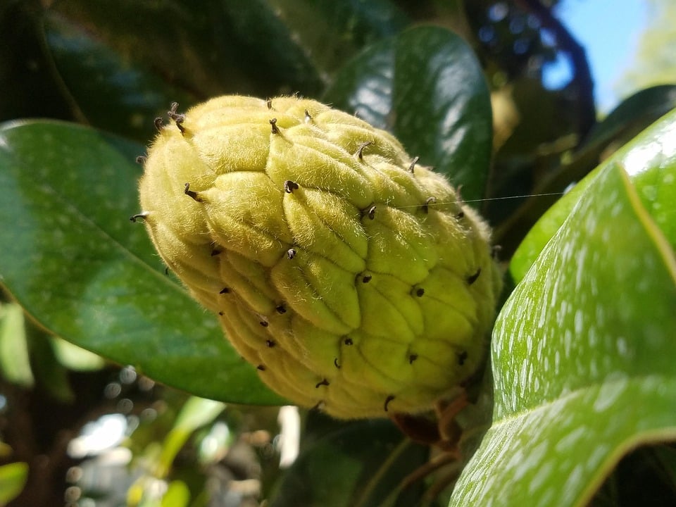 Planting the Seeds of Success: Why Bradenton Landscapers Should Invest in PPC Now!