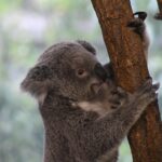 Polish Your Profits: How PPC Advertising Can Transform Bradenton Nail Salons