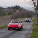 Polishing Profits: The Top 5 PPC Strategies Every Sarasota Auto Detailer Should Know