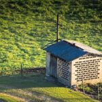 Pouring Profits: How PPC Advertising Can Lay a Solid Foundation for Sarasota Concrete Contractors