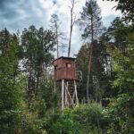 Pump Up Your Profits: The Top 5 SEO Strategies for Sarasota's Septic Tank Services