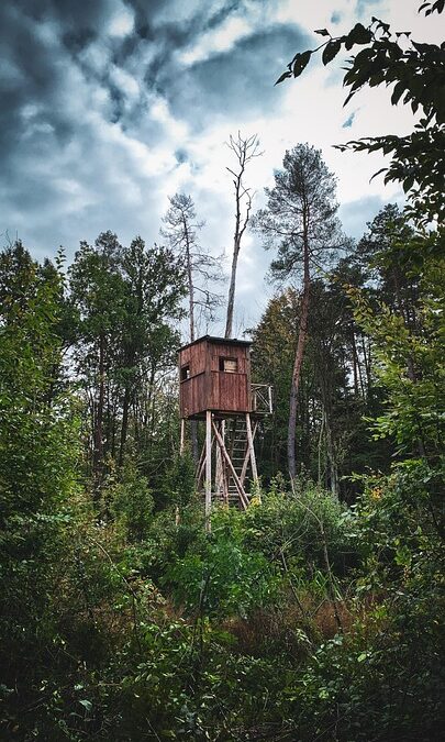 Pump Up Your Profits: The Top 5 SEO Strategies for Sarasota's Septic Tank Services