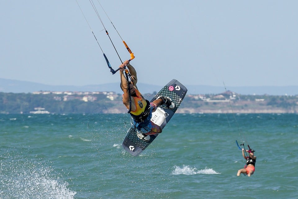 Purring Profits: Why Every Pet Boarding Business in Bradenton Should Invest in PPC Advertising