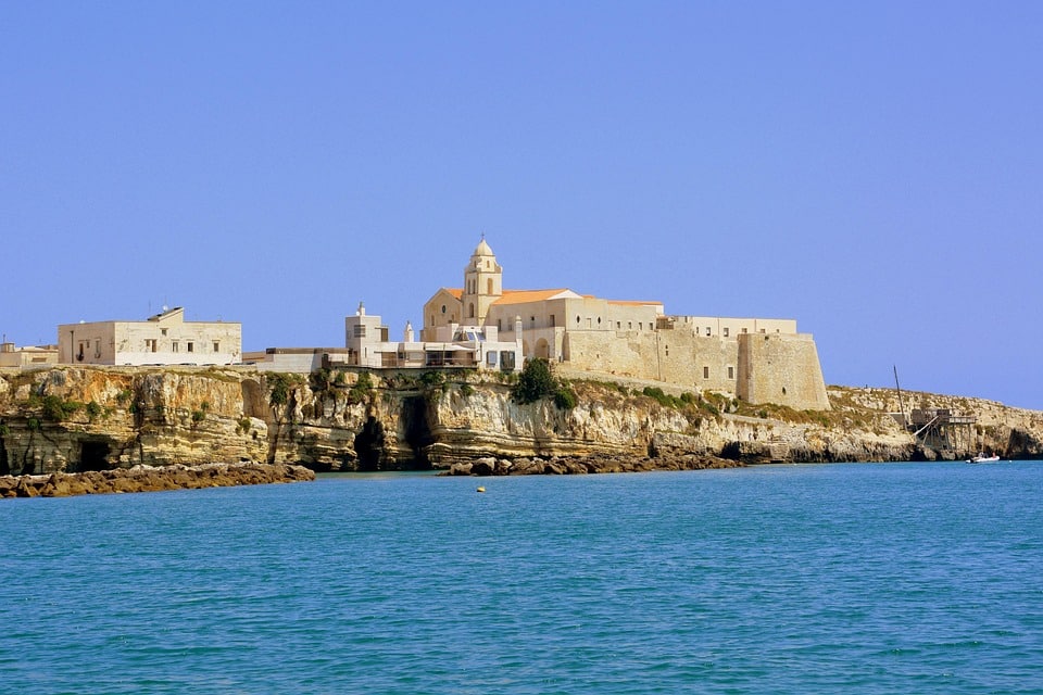 Rank Higher, Earn More: The SEO Advantage for Bradenton IT Services