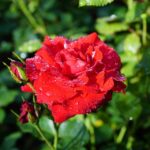 Relax and Rank: The Top 5 SEO Strategies Every Bradenton Day Spa Should Use to Attract New Clients