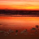 Repairing Reputation and Revenue: Why SEO Is Essential for Bradenton’s Water Damage Restoration Pros