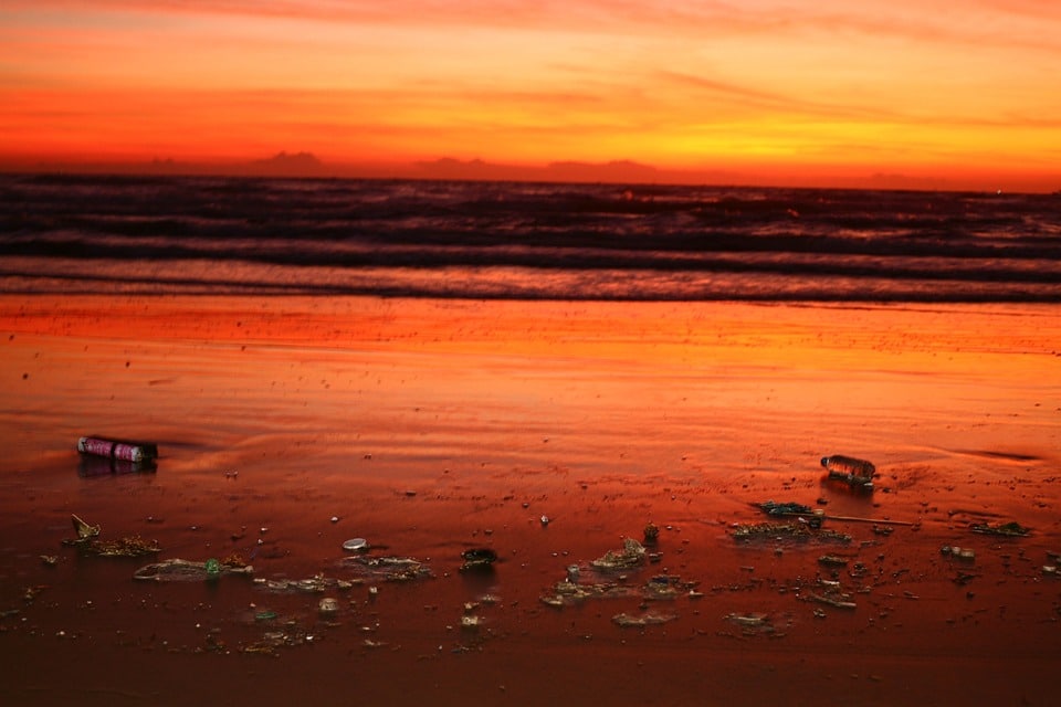 Repairing Reputation and Revenue: Why SEO Is Essential for Bradenton’s Water Damage Restoration Pros