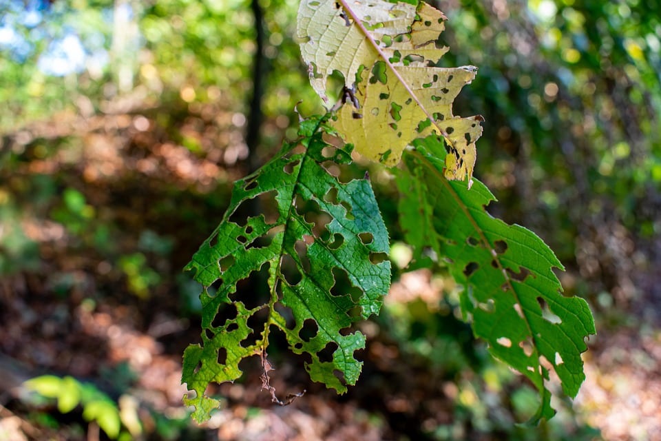 Restoring More Than Just Homes: The SEO Secrets Every Sarasota Water Damage Business Should Know