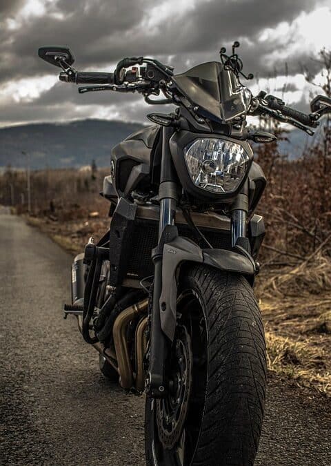 Rev Up Your Business: How PPC Advertising Can Drive Auto Detailing Success in Sarasota