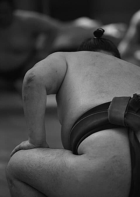 Revitalize Your Physical Therapy Practice: How SEO Can Boost Your Sarasota Patient Base