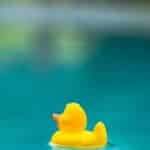 “Ripples of Success: Transform Your Bradenton Pool Repair Business with Targeted PPC Strategies”