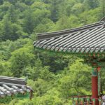 Rise Above the Competition: Why Every Bradenton Tile Installer Needs an SEO Strategy