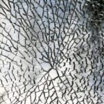 Rising Above the Waves: How SEO Can Help Your Bradenton Water Damage Restoration Business Stand Out
