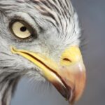 “SEO Secrets for Local Child Care Centers: Boost Your Bradenton Business and Enrollments Today!”