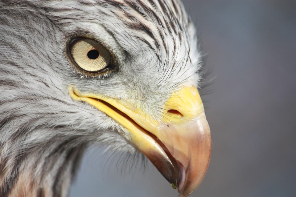 “SEO Secrets for Local Child Care Centers: Boost Your Bradenton Business and Enrollments Today!”