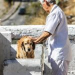 SEO Strategies That Sparkle: Attracting More Clients to Your Sarasota Dryer Vent Cleaning Company