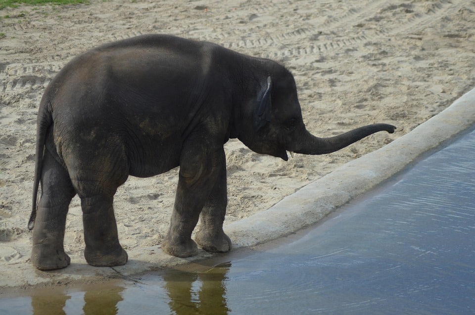 SEO Success Story: How Sarasota's Moving Companies Can Thrive in a Digital Age