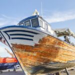 Sarasota Appliance Repair Success Stories: How Local SEO Boosted These Small Businesses