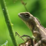 Sarasota Home Inspectors Unite: Mastering SEO to Outshine the Competition and Grow Your Business