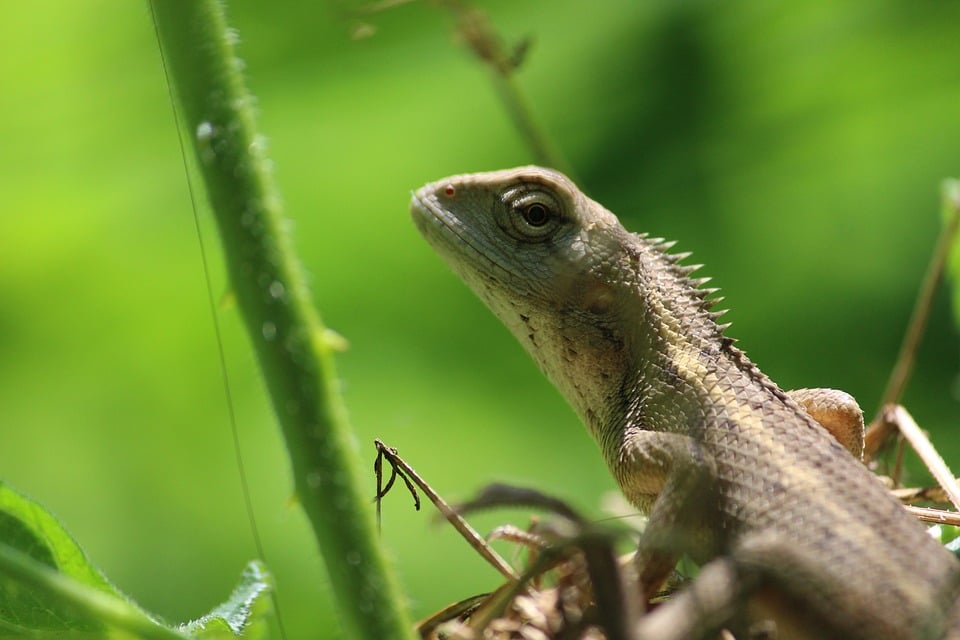 Sarasota Home Inspectors Unite: Mastering SEO to Outshine the Competition and Grow Your Business