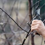 Sarasota Junk Removal Success: How Local SEO Can Transform Your Removal Business