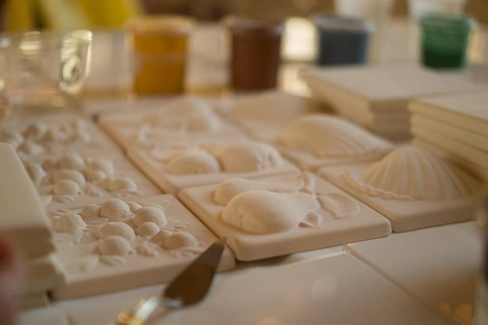 Sarasota Mold Remediation Success: Harnessing SEO to Stand Out in a Niche Market