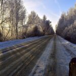 Sarasota Shine: Why Local Auto Detailers Can't Afford to Ignore PPC Advertising