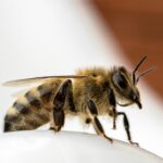 Sarasota Siding Contractors: 5 SEO Strategies to Drive Local Traffic and Skyrocket Your Sales