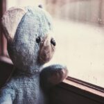 Sarasota's Hidden Gem: Elevate Your Carpet Cleaning Business with Effective SEO Tactics